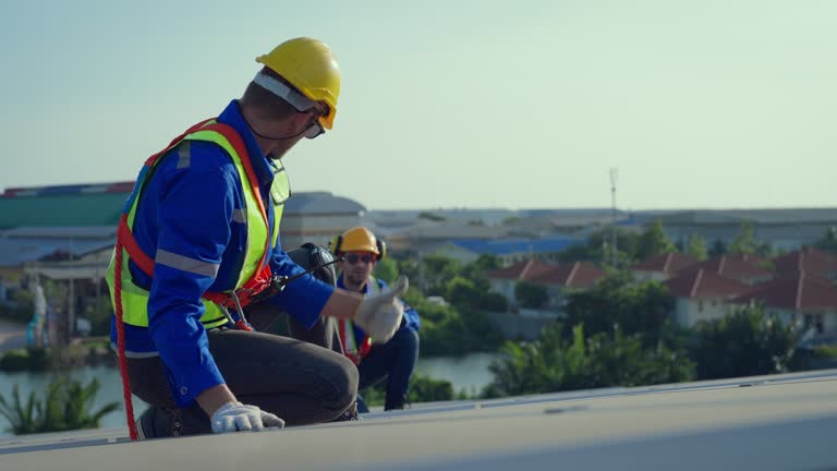 Best Cold Roofs  in Flemington, PA