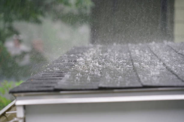 Best Storm Damage Roof Repair  in Flemington, PA