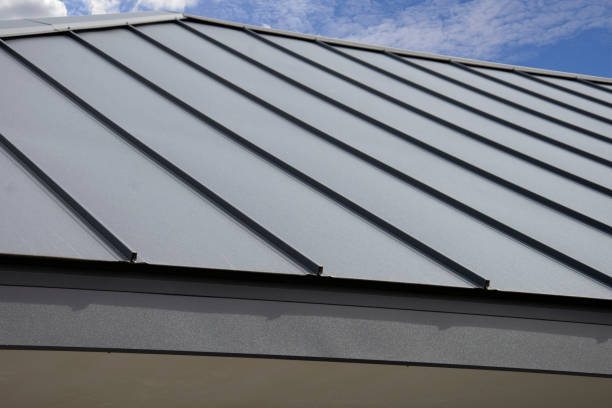 Best Roof Moss and Algae Removal  in Flemington, PA